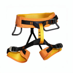 import placeholder for 6528