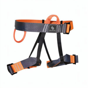 import placeholder for 6530
